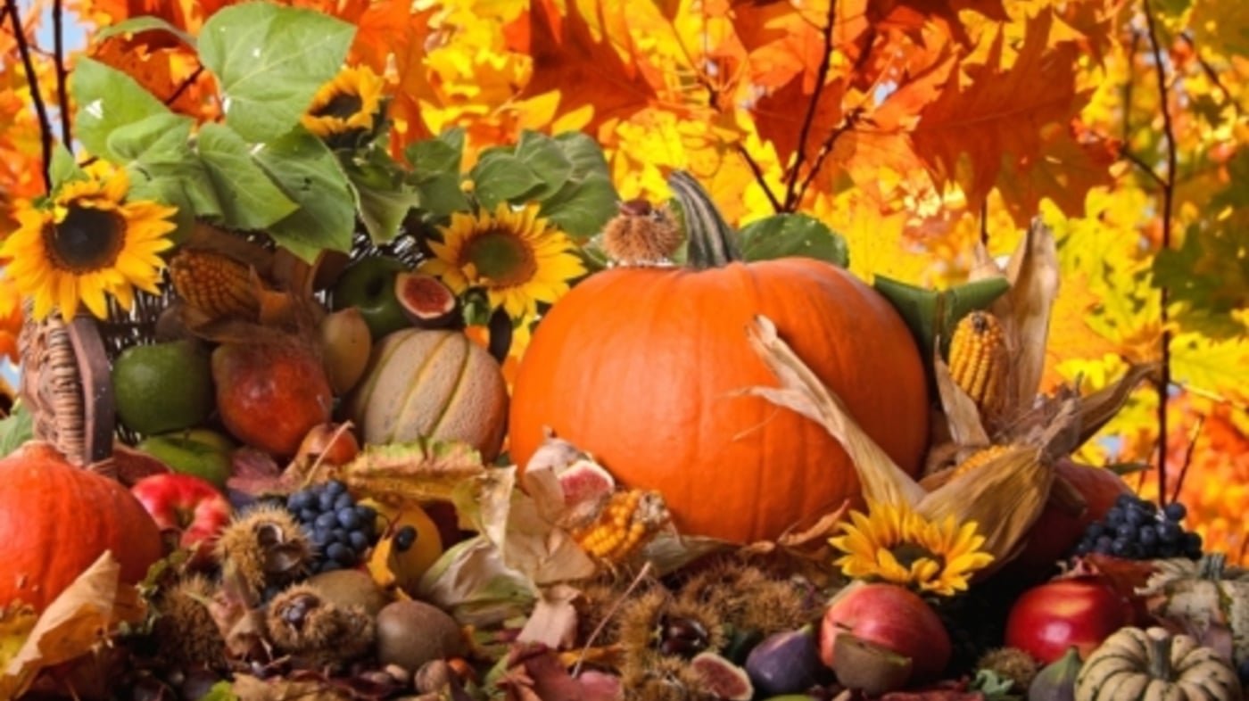 SEPTEMBER FEST SULL'ALPE CIMBRA - La grande Festa di fine estate il 24 e 25 settembre