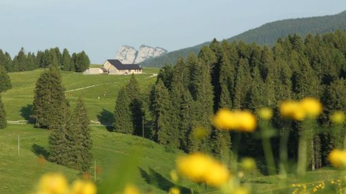 Alpe Cimbra Di Folgaria Lavarone Lusern Una Montagna Da Vivere Tutto L Anno Azienda Per Il Turismo Alpe Cimbra Folgaria Lavarone Luserna Vigolana S Cons P A