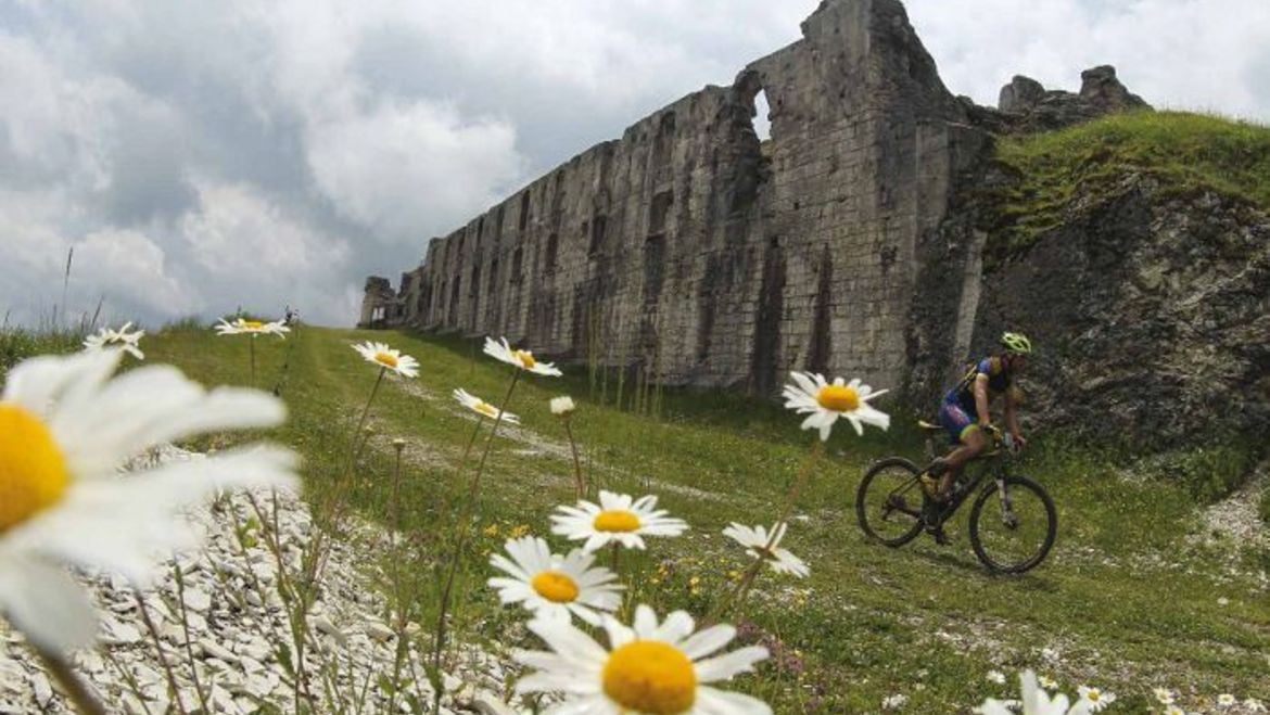 Bike: Action destination