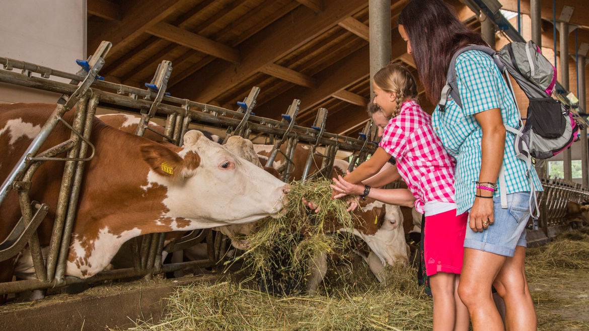 Azienda Agricola Soto al Croz