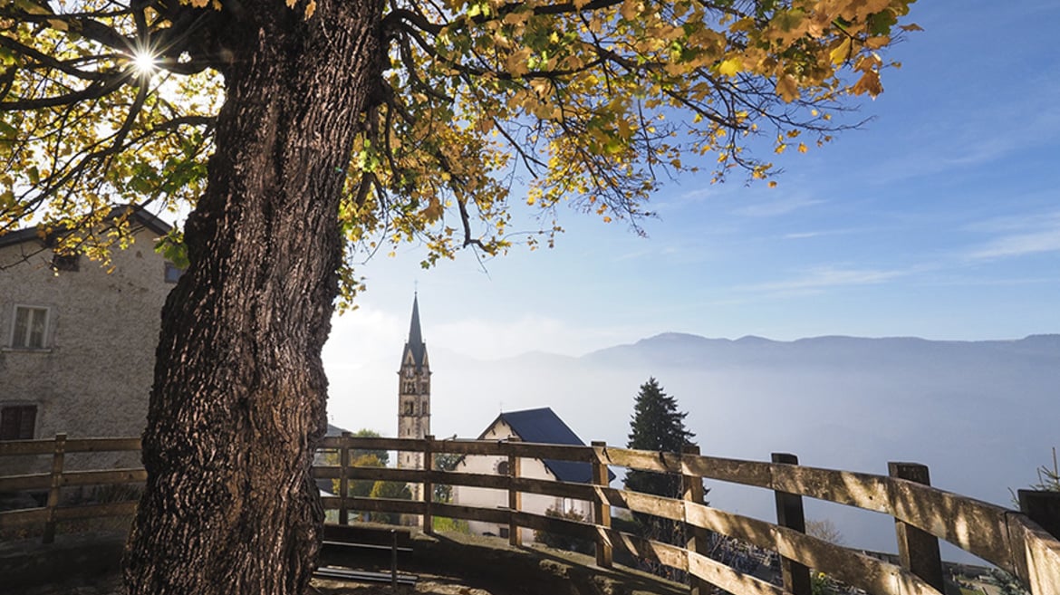 DIE VIER JAHRESZEITEN