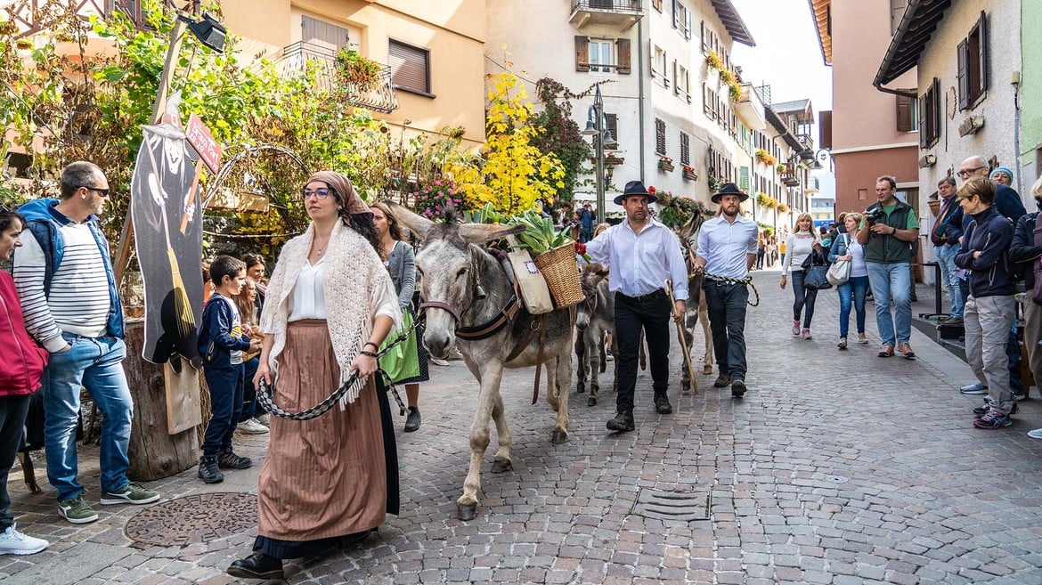 I Zestelèri coi pori di Nosellari