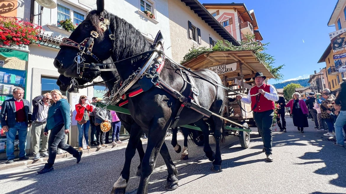El car del Casèl col formai de Folgaria