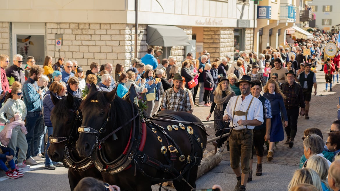 I Boscaroi del’Altopiam