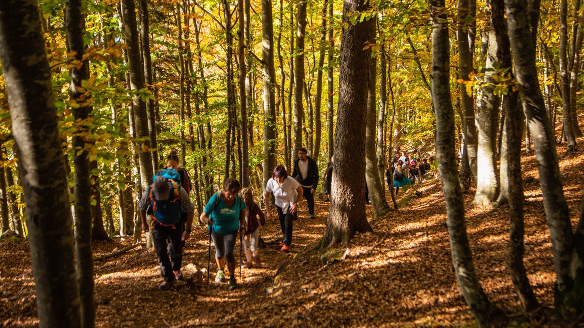 Foliage sul Sentiero dell'acqua
