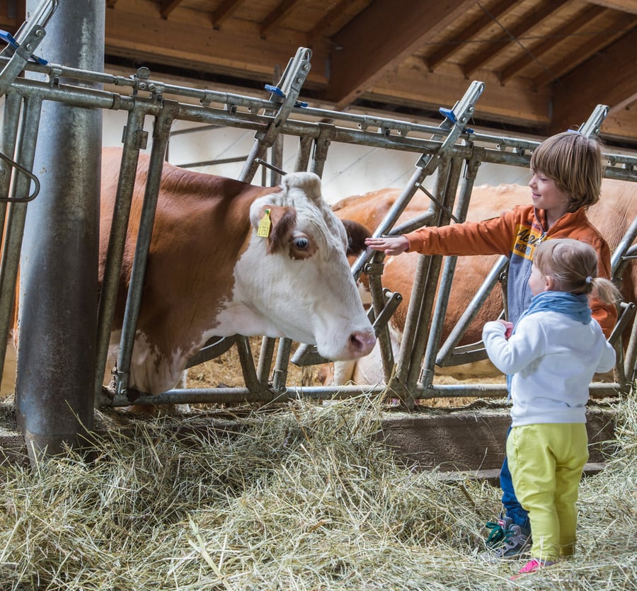 Alpe Cimbra im Trentino:
