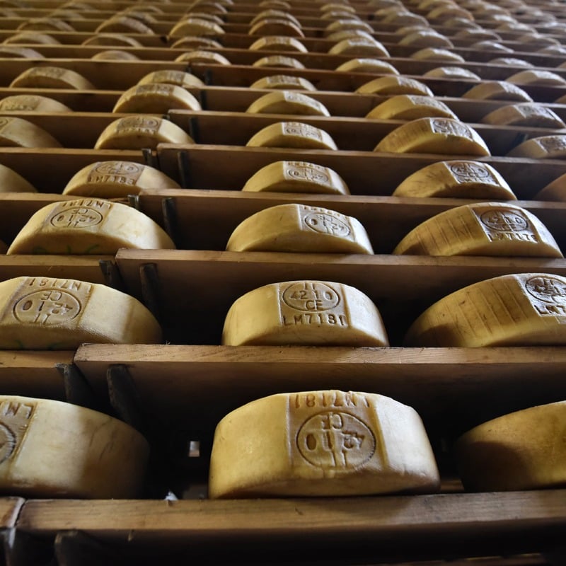 Erholen mit den Liebsten