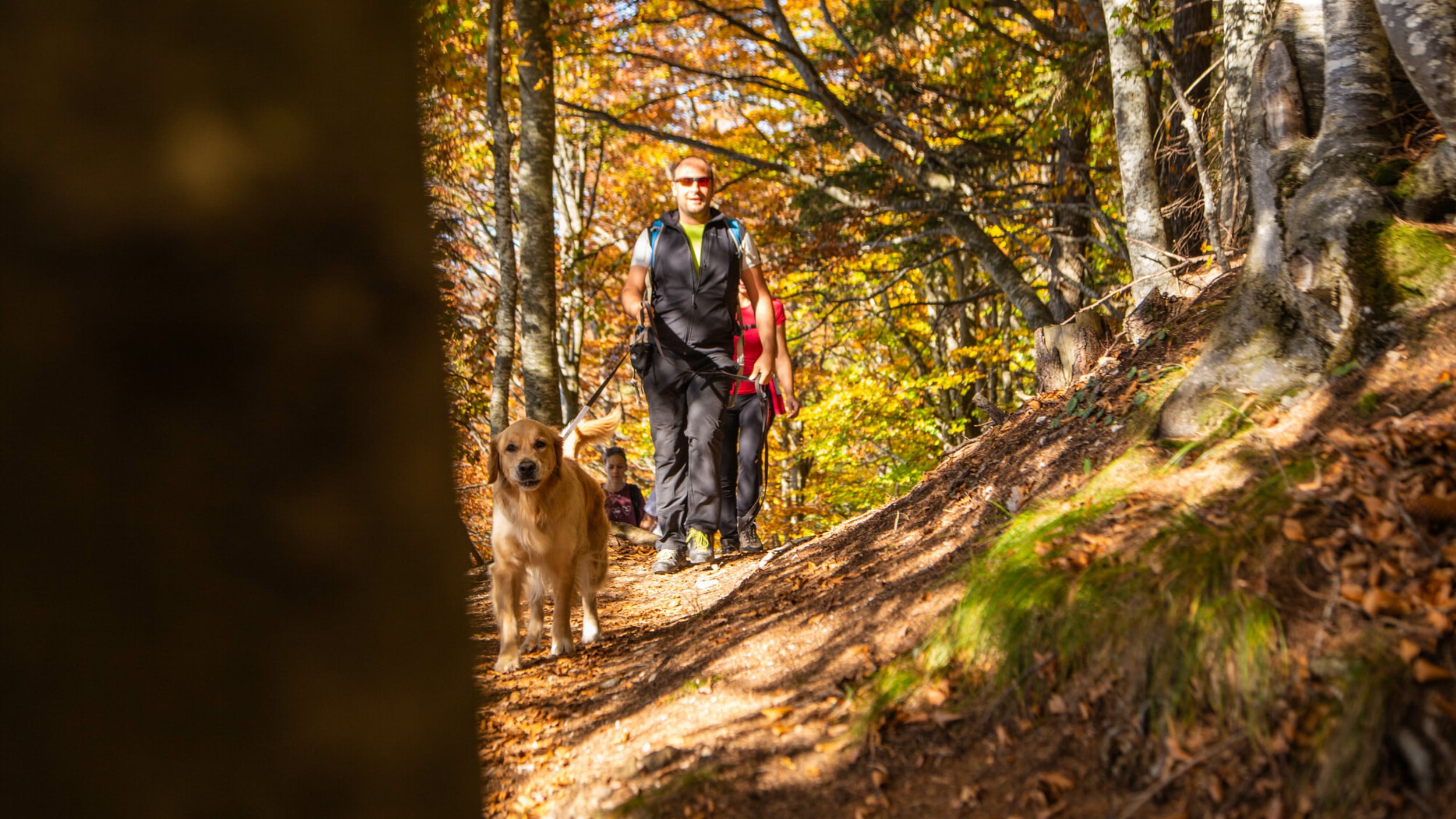 Wie geschaffen für Familien