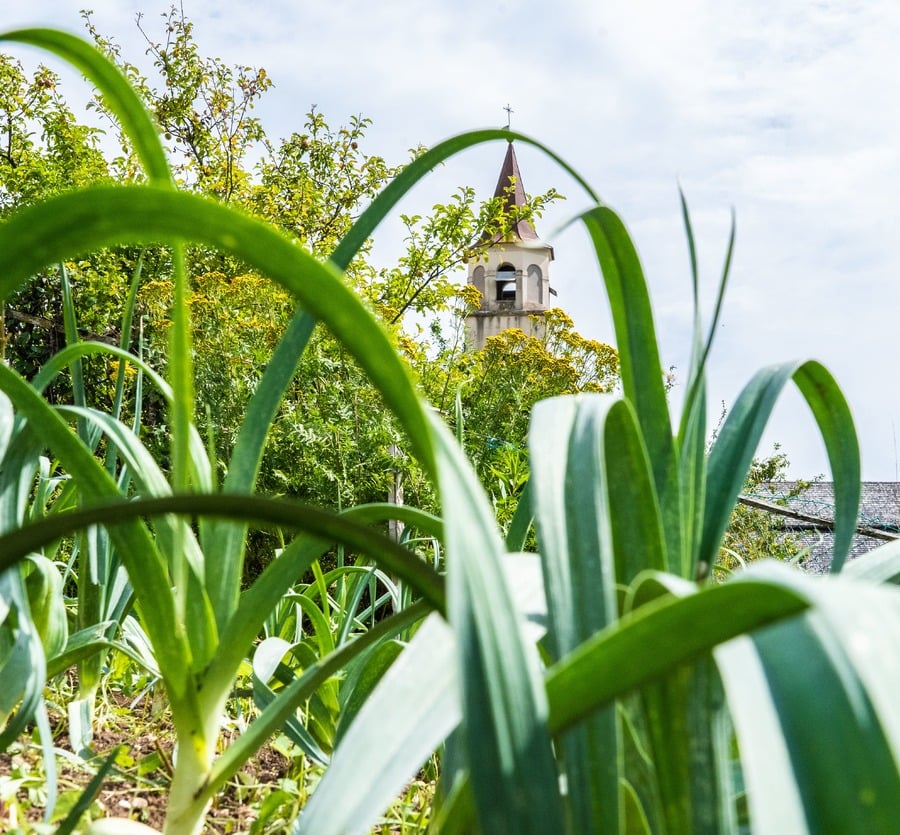 Alpe Cimbra in Trentino: