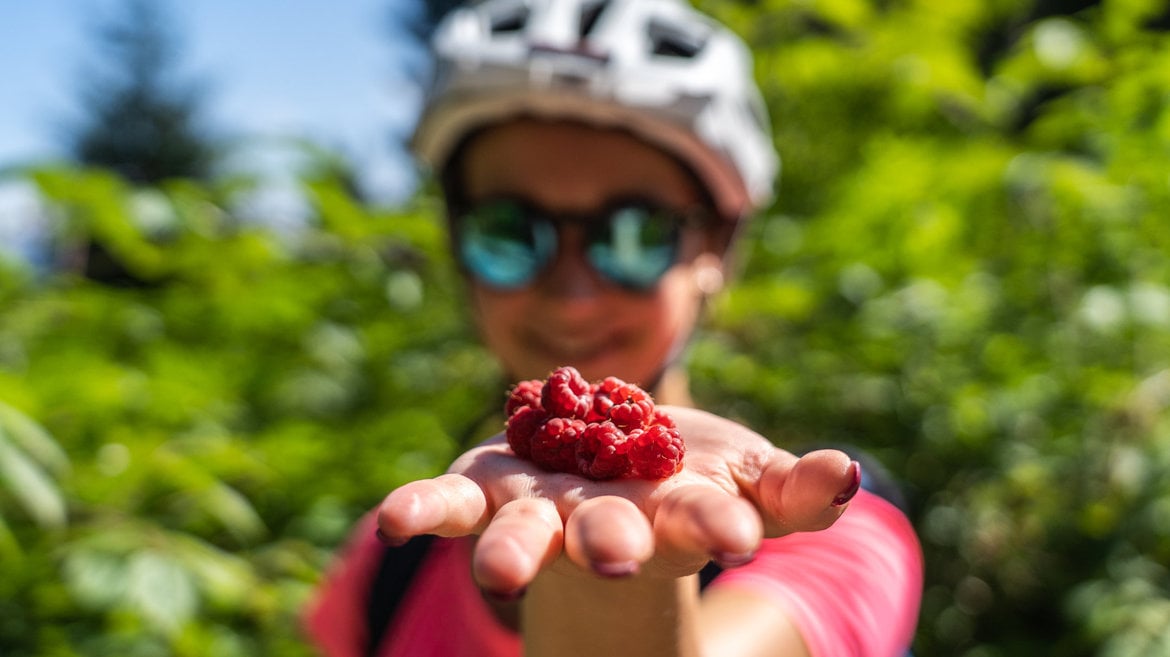 Alpe Cimbra... piccola guida per grandi esploratori