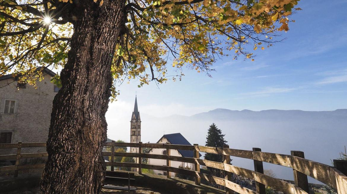 Herbsttorgelen Zimbar