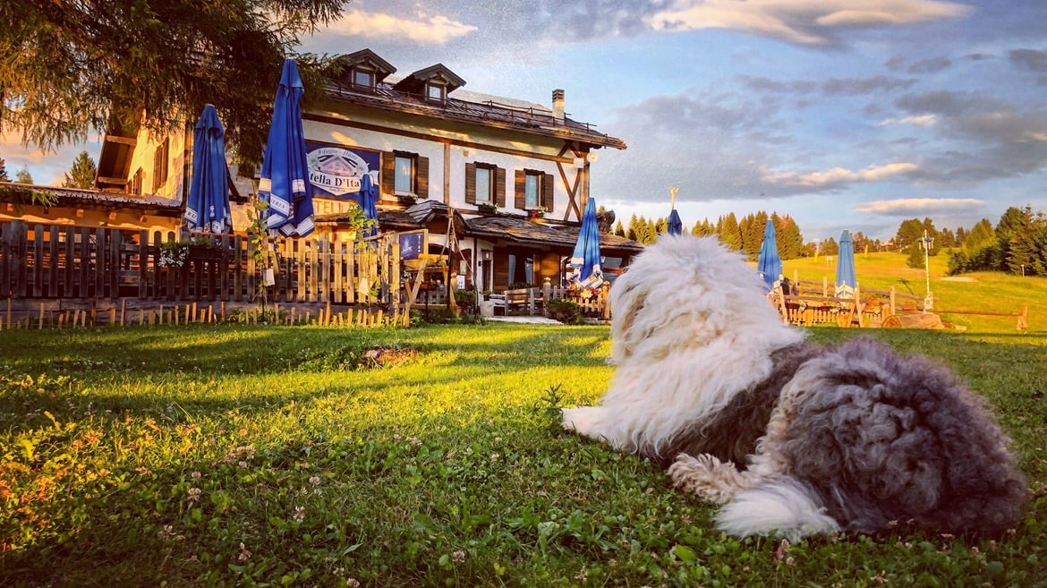 Rifugio Stella d'Italia
