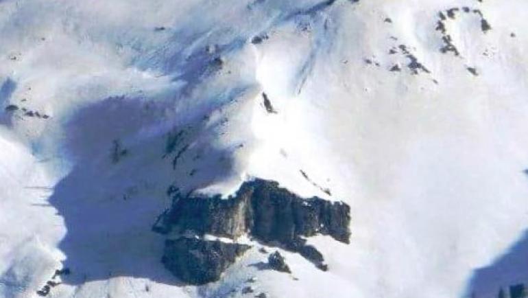 L'orsa della Vigolana