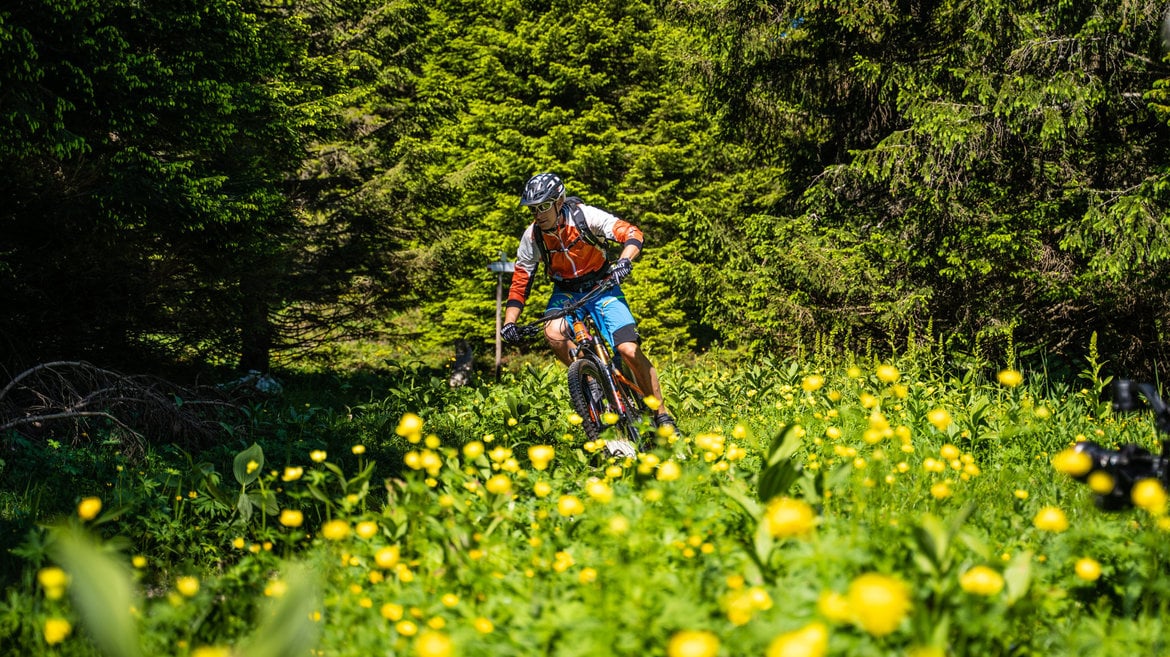 Primavera a tutto sport