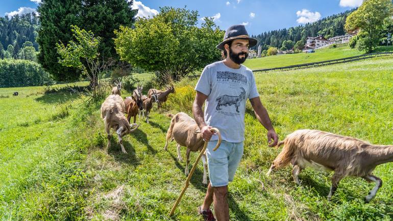 Una vacanza green tra le Alpi? L’Alpe Cimbra in Trentino è una destinazione Alpine Pearls