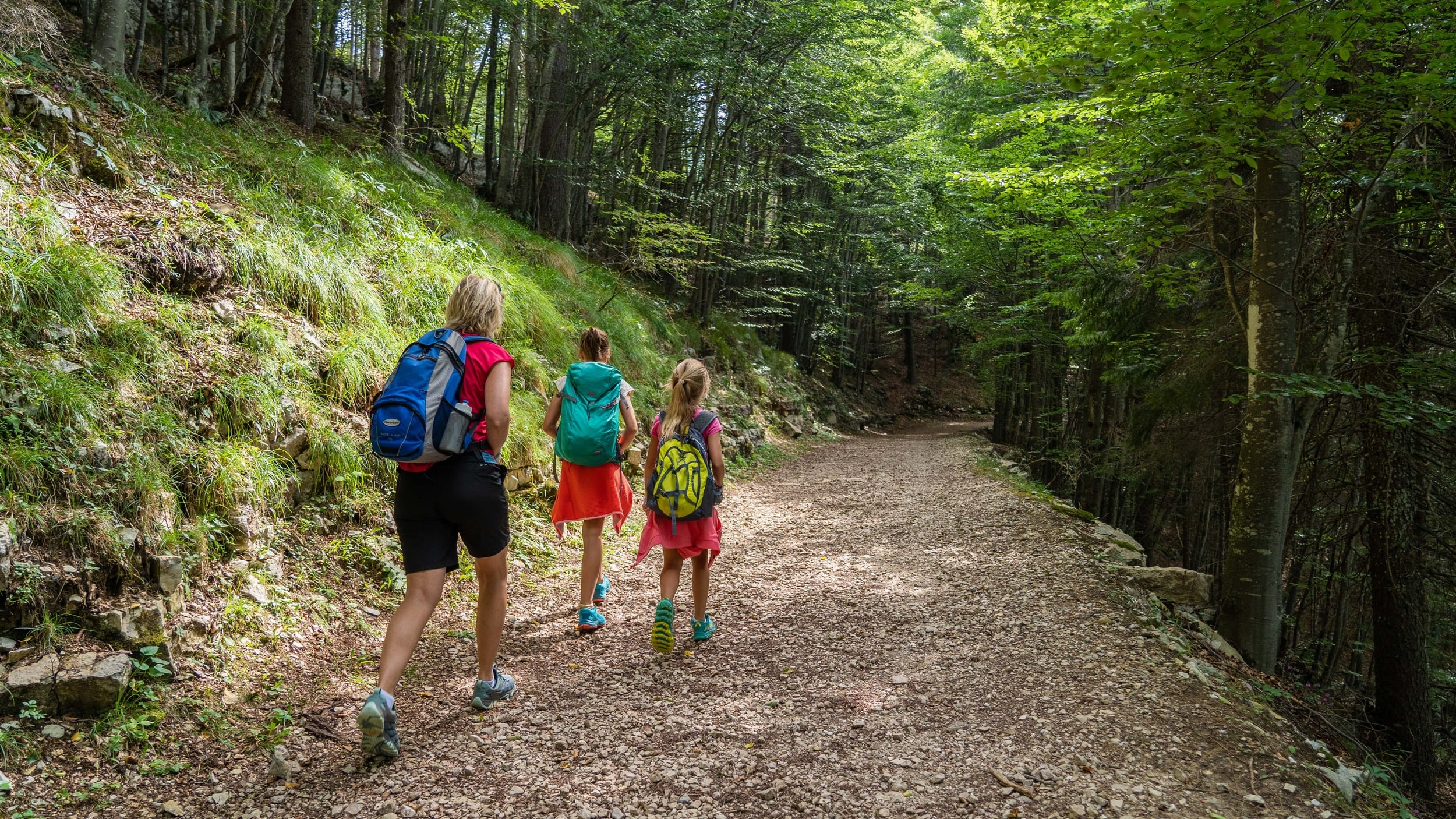 Passeggiate nel bosco