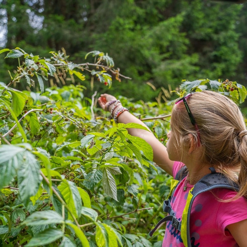 Camminando si impara