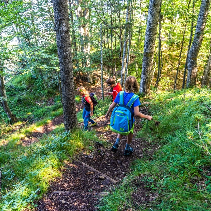 Escursioni in famiglia
