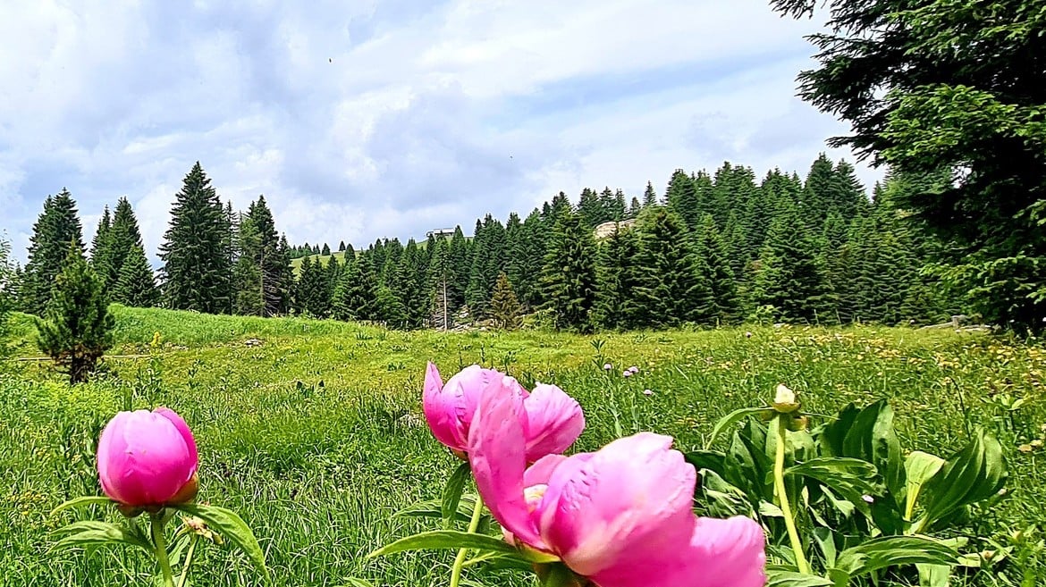 All’orto con le guardie forestali