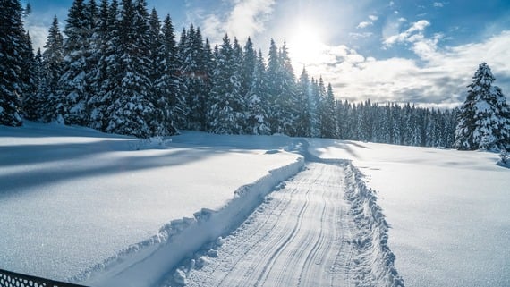 Sull’ Alpe Cimbra in Trentino a ritmo lento con gli sci da fondo