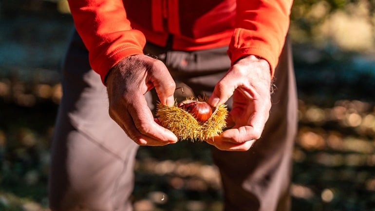 La Dispensa dell’Alpe un weekend di convegni, masterclass e eventi per la valorizzazione dei prodotti a km zero del Trentino