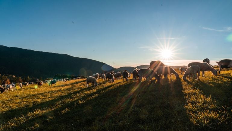 Autunno in montagna tra magia del foliage, eventi enogastronomici e outdoor