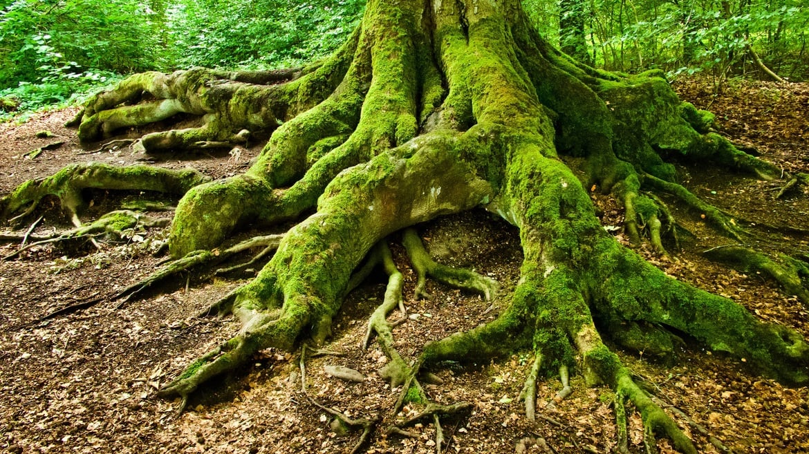 Il Turismo delle Radici