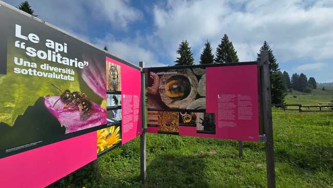 Giardino Botanico Alpino