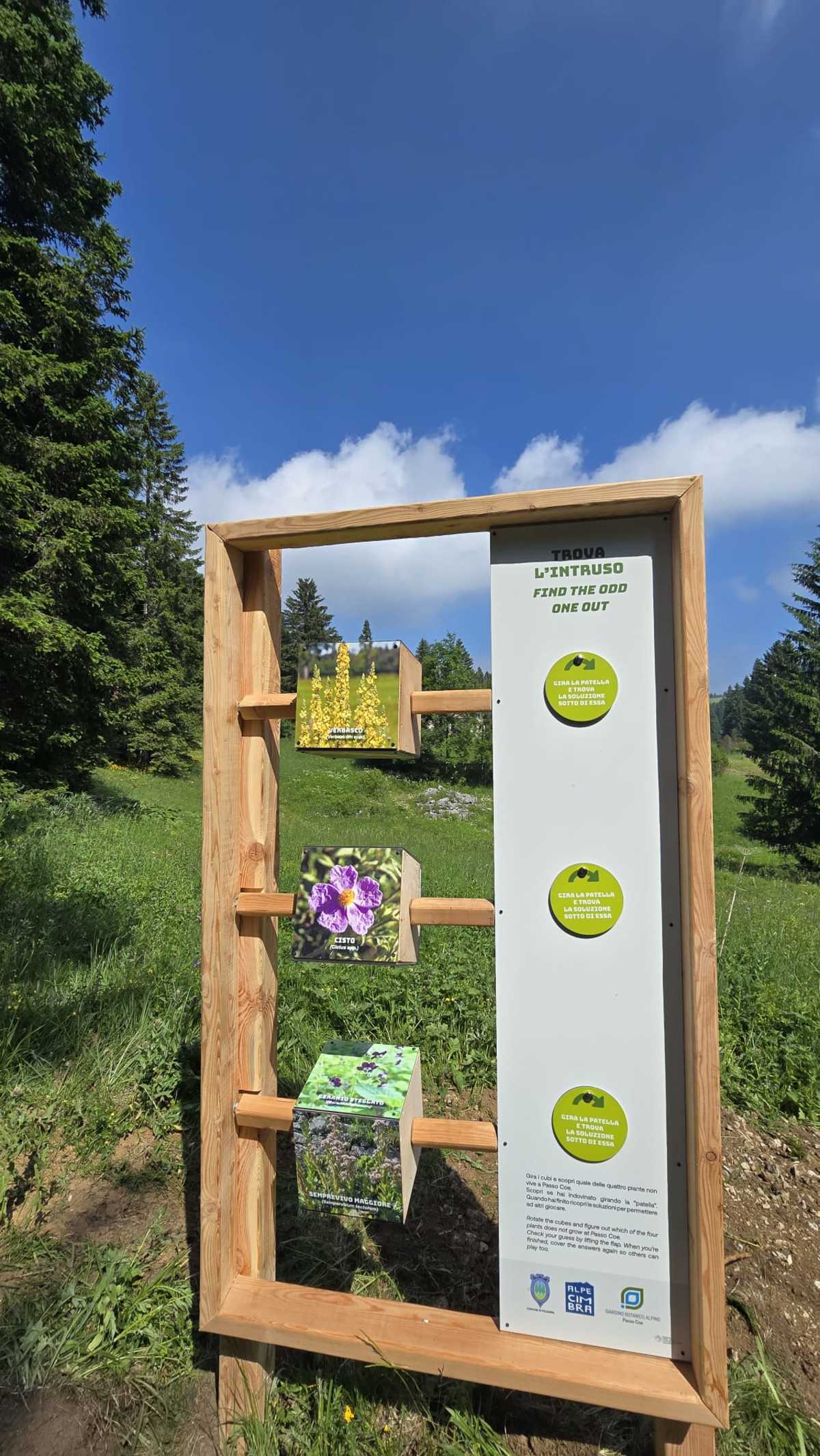 Giardino Botanico Alpino