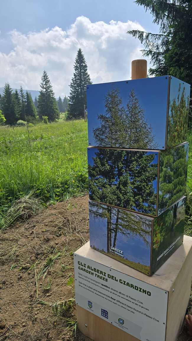 Giardino Botanico Alpino