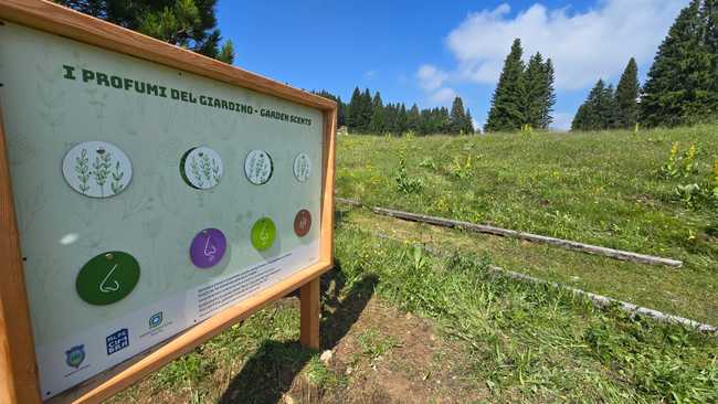 Giardino Botanico Alpino