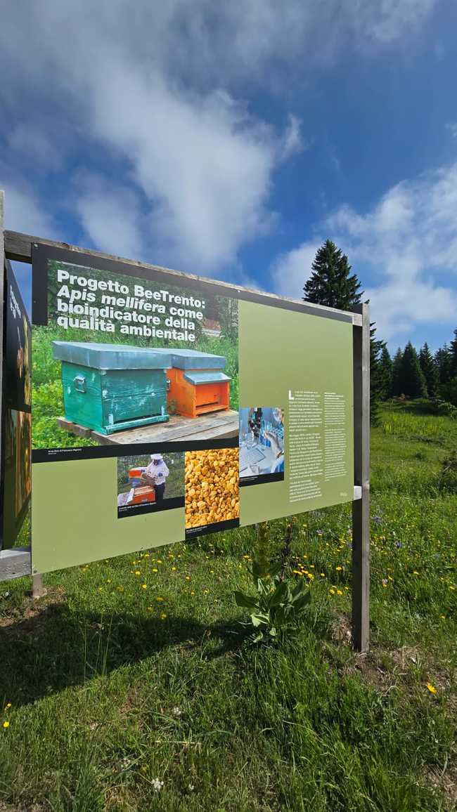 Giardino Botanico Alpino