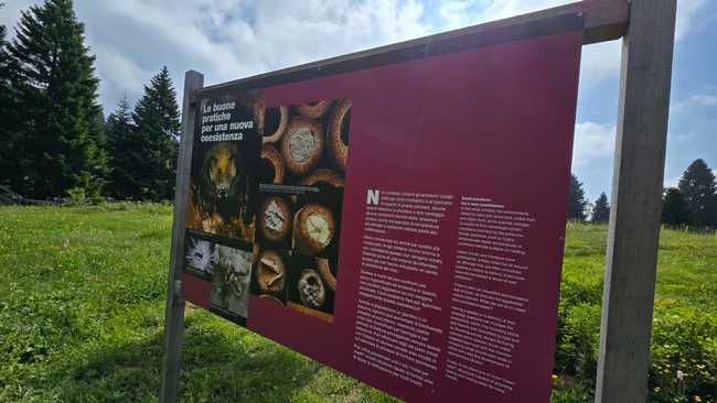 Giardino Botanico Alpino