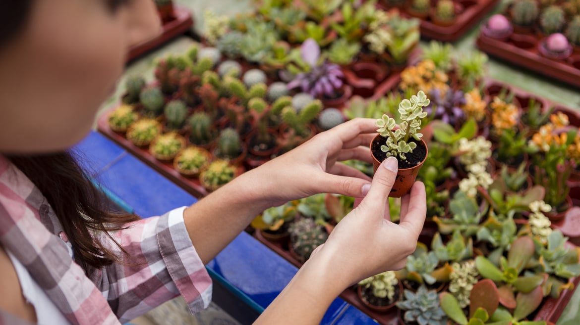 Laboratori/Esperienze