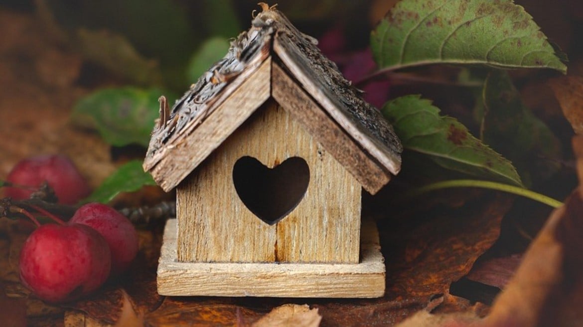 Laboratori/Esperienze