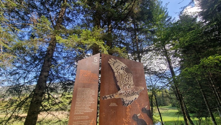 The high altitude biotope born from an ancient lake. Ecken's biotope