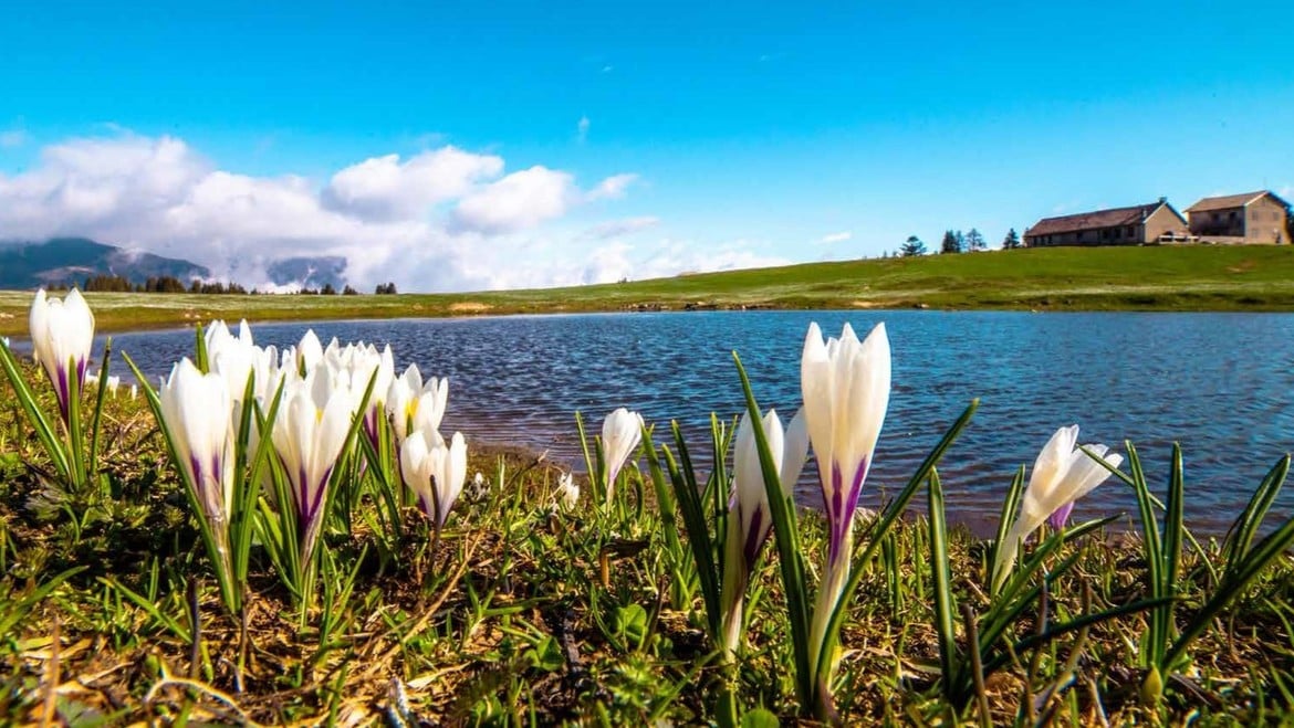 The awakening of the mountain