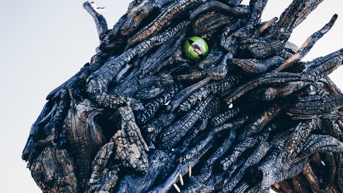 Drago Vaia Regeneration