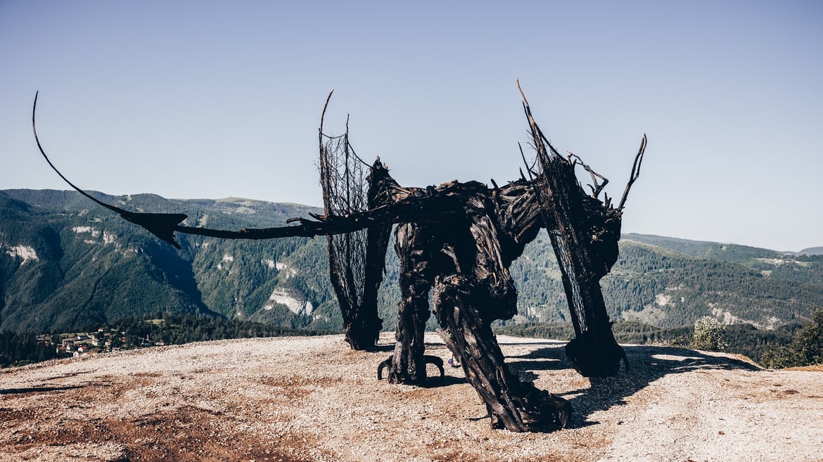 Drago Vaia Regeneration