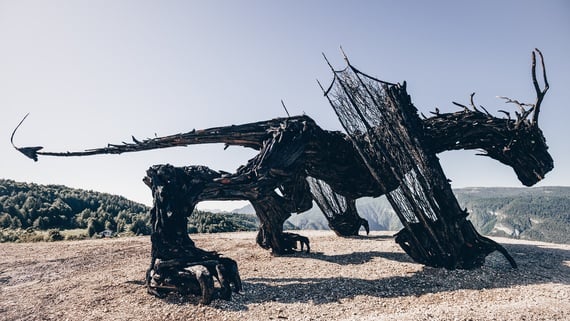 Drago Vaia Regeneration