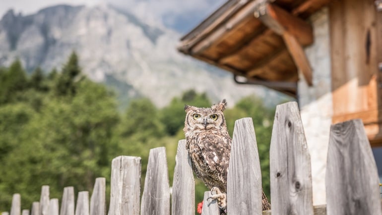 Summer in Trentino: discovering Vigolana