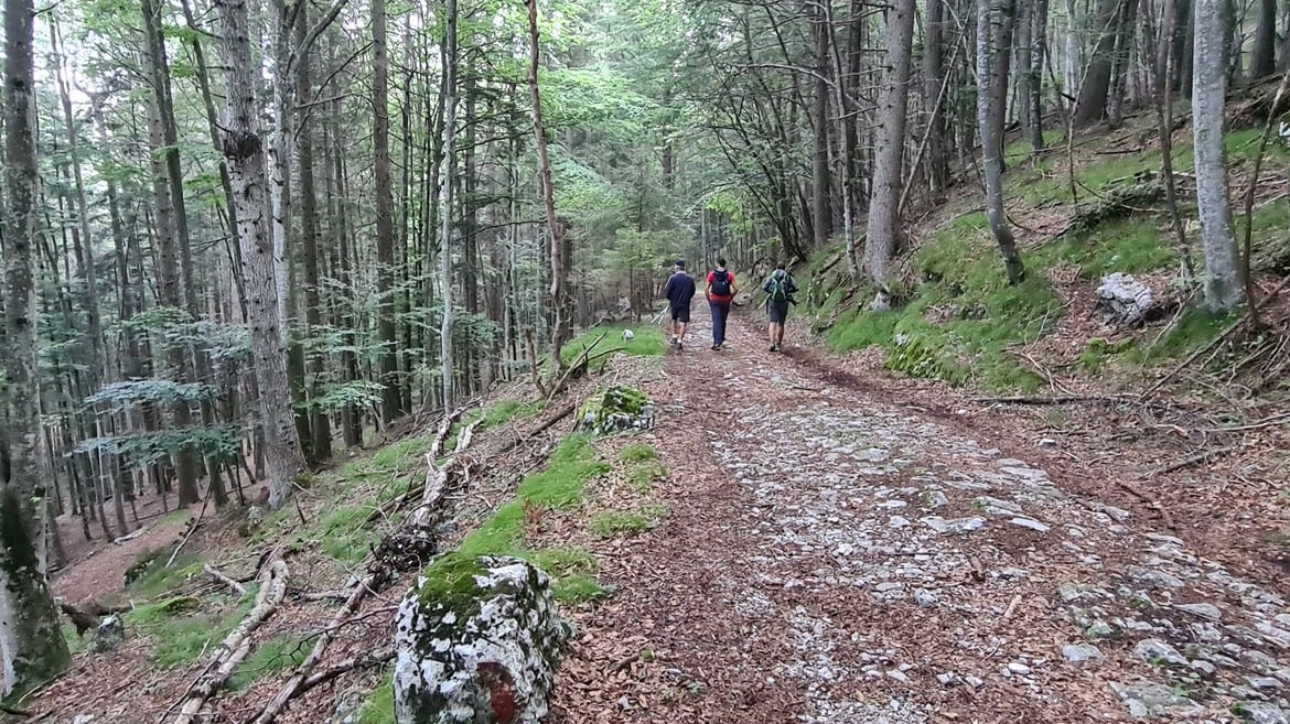 ESCURSIONI E ATTIVITA'