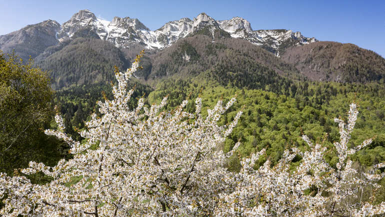 Incantevole Alpe Cimbra