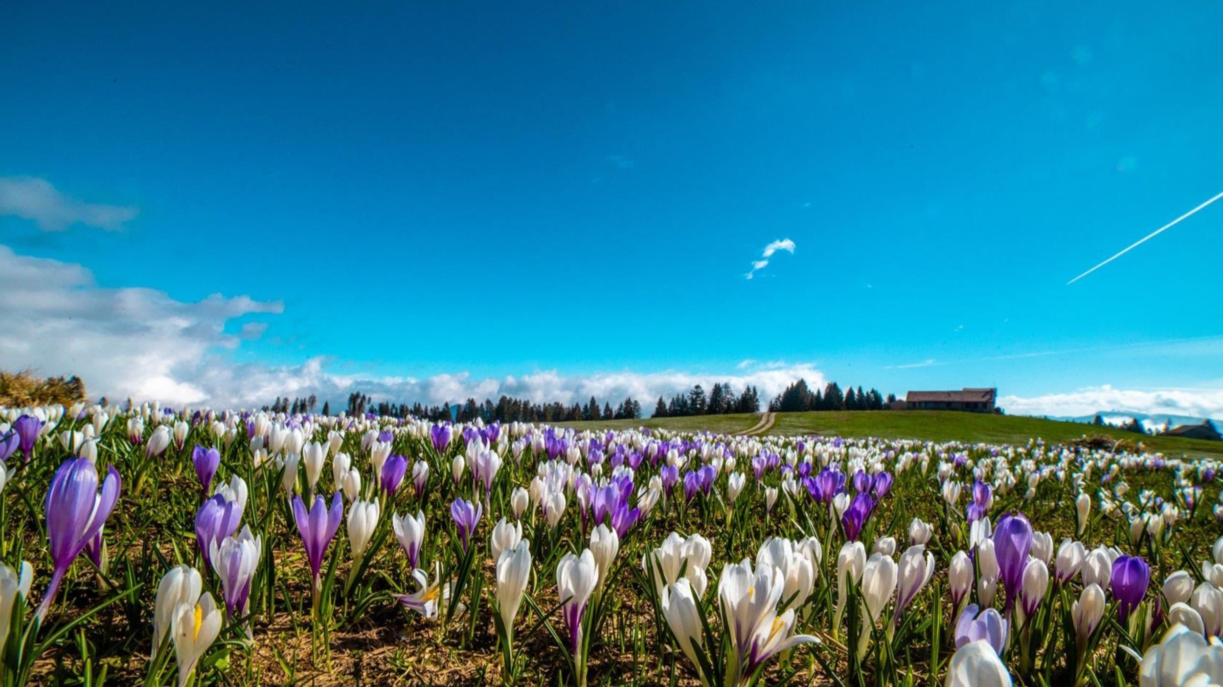 Pasqua tra natura, relax e tradizione sull'Alpe Cimbra in Trentino!