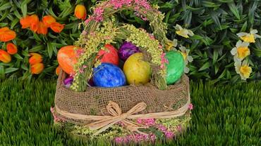 DOMENICA 20 APRILE 2025