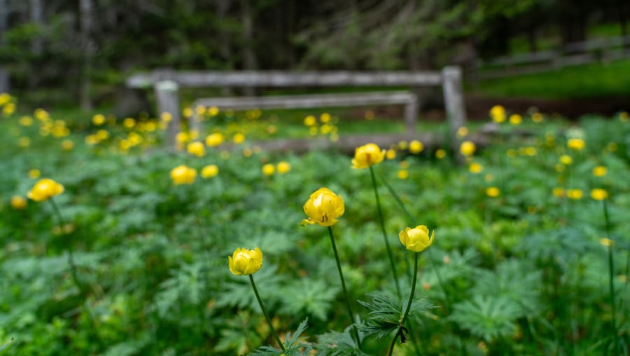 Entdecken Sie alle Veranstaltungen des Botanischen Gartens