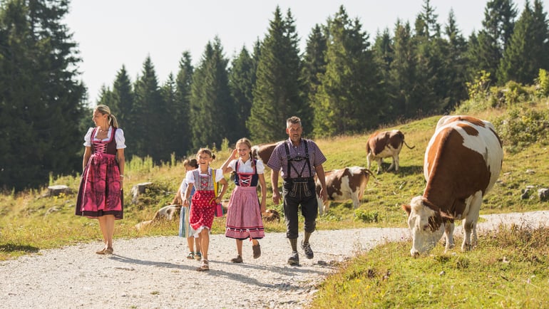 L’estate in Alpe Cimbra: natura, emozioni e autenticità nel cuore del Trentino