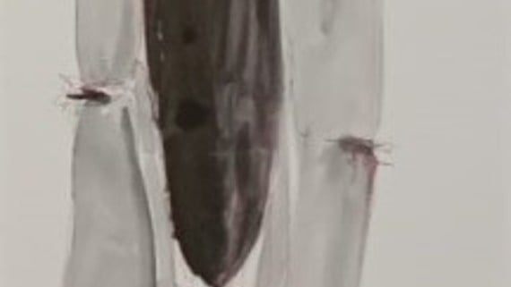 MATTEO BOATO. Concerto per tetti e piazze