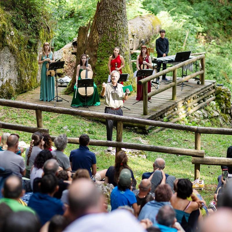 ANIMA – Ein Wald der Instrumente