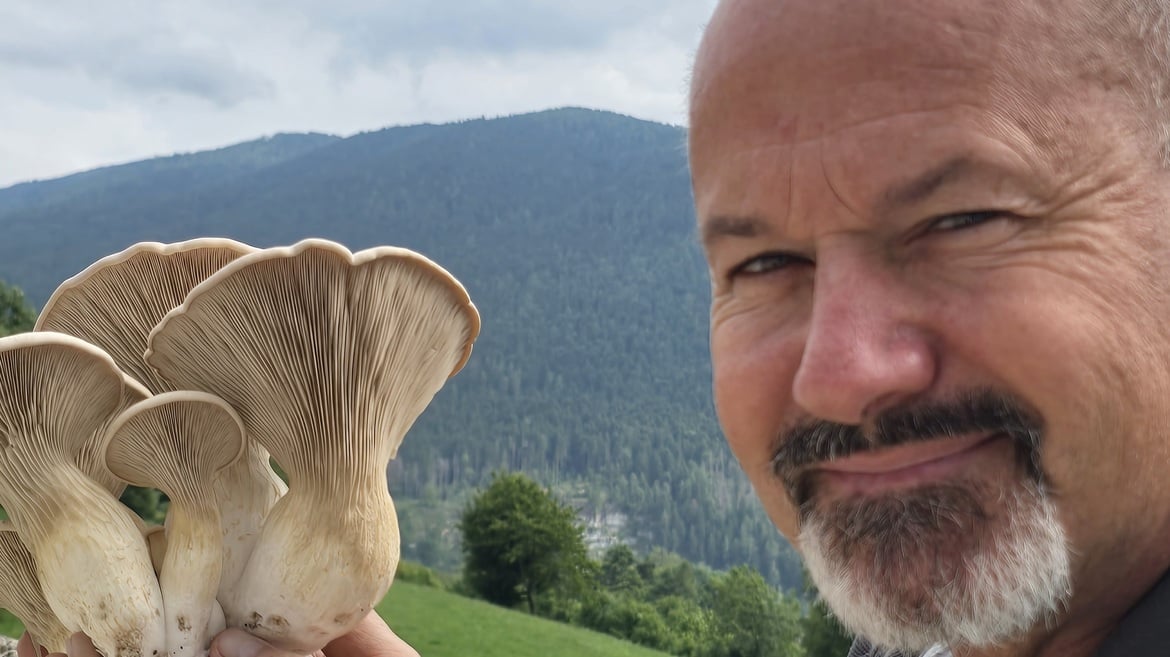 Il Cardoncello Cimbro